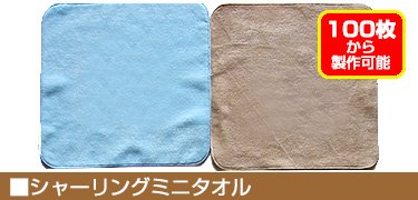 刺繍入れミニタオル